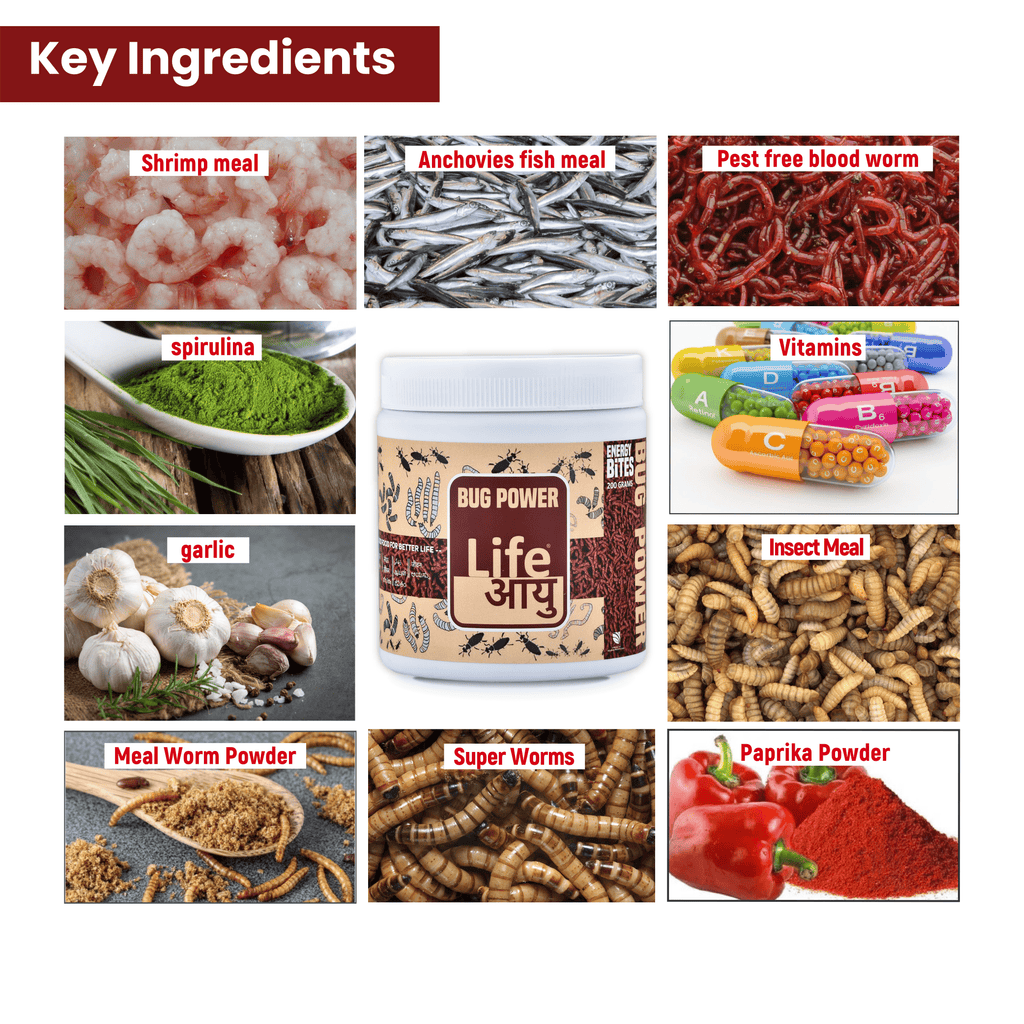 LIFE AAYU BUG POWER FISH FOOD 500 gm