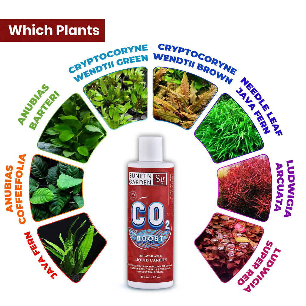 Sunken Garden Liquid CO2 Boost – Organic Carbon Source for Aquatic Plants | Algae-Free Growth | Shrimp Safe | Sunken Garden Pvt Ltd