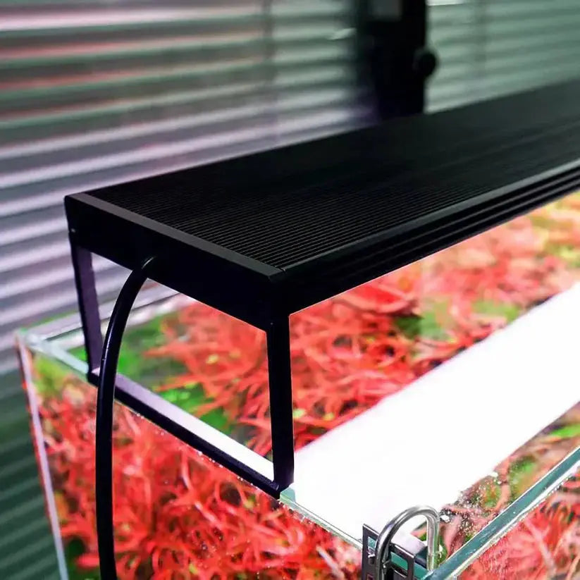 CHIHIROS WRGB II PRO LED LIGHT Aquarium Products India