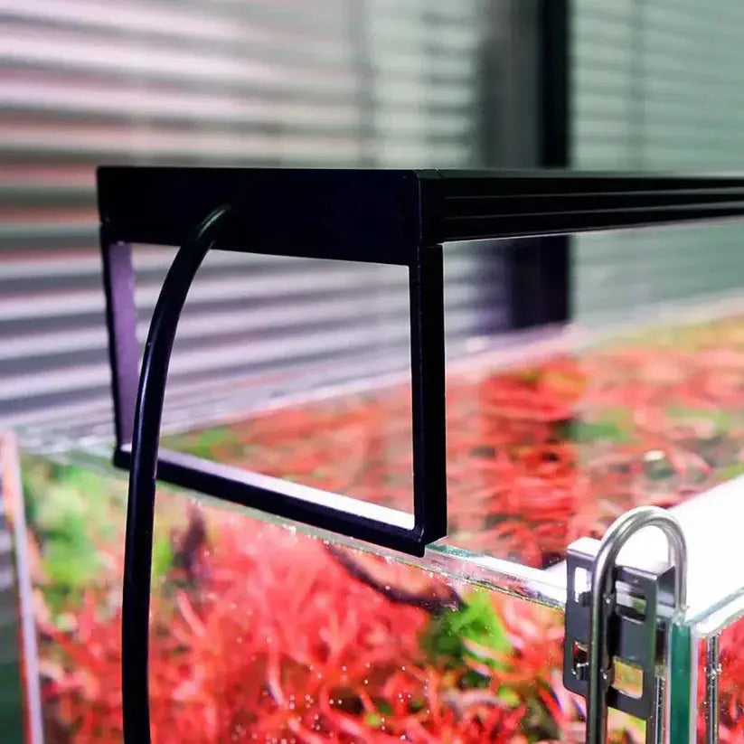 CHIHIROS WRGB II PRO LED LIGHT Aquarium Products India