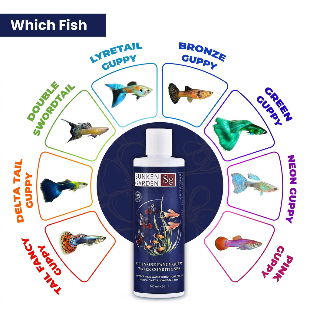 Sunken Garden All In One Fancy Guppy Fish Water Conditioner Sunken Garden Pvt Ltd
