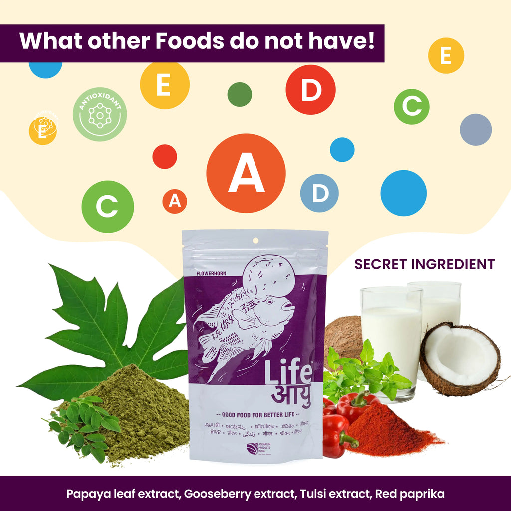 Life AAYU Flowerhorn Food – Ayurvedic Growth & Color Boost Formula for Juvenile And Adult Flowerhorns | With Papaya, Red Paprika & Tulsi Aquarium Products India
