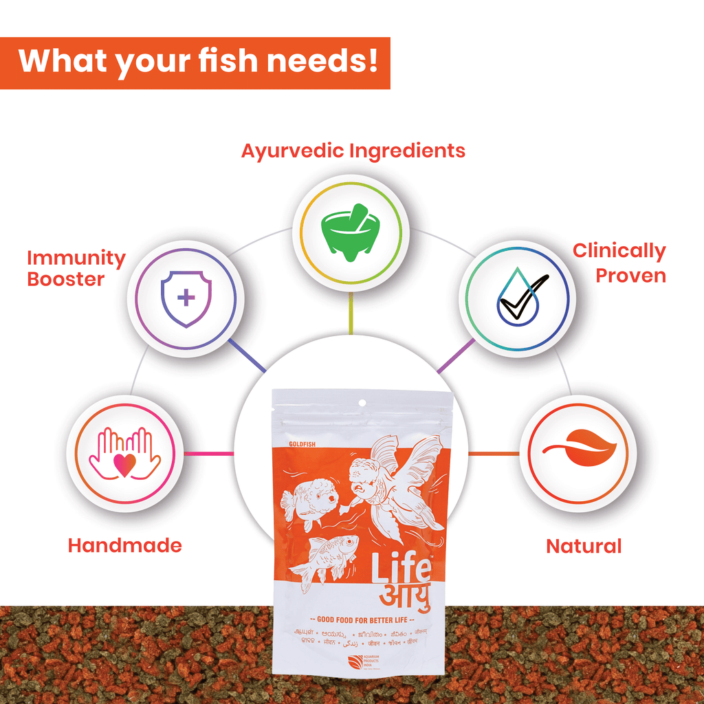 Goldfish Bloating Treatment & Swim Bladder Prevention – Life AAYU Goldfish Food for Digestion, Immunity & Color