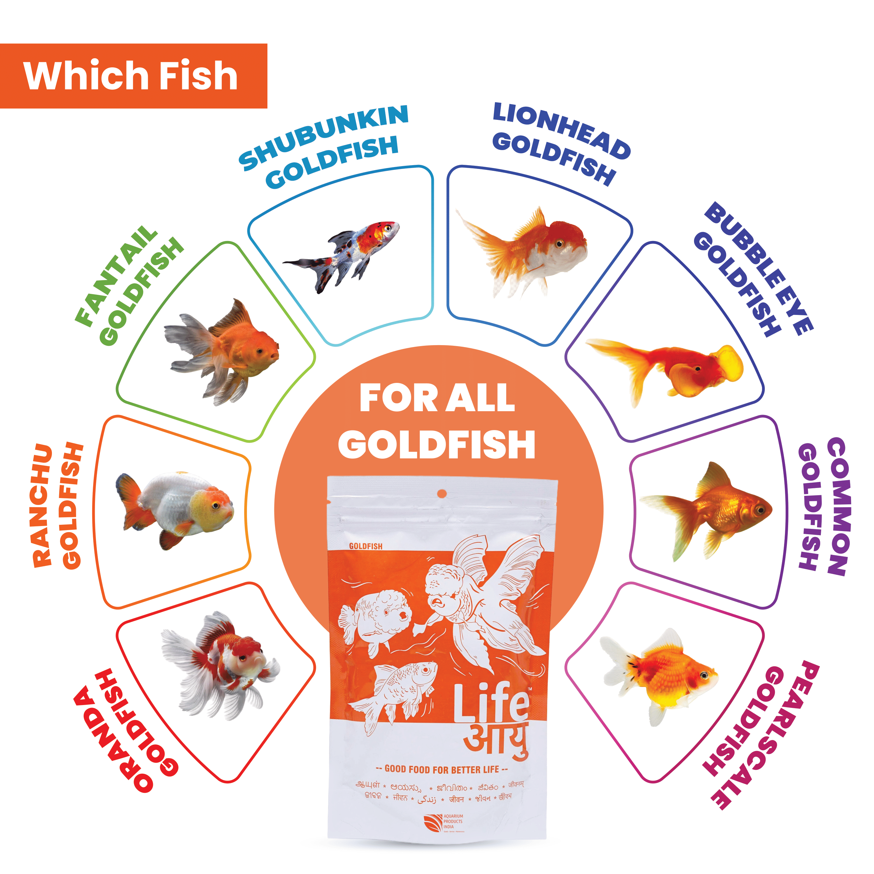 Goldfish Bloating Treatment & Swim Bladder Prevention – Life AAYU Goldfish Food for Digestion, Immunity & Color