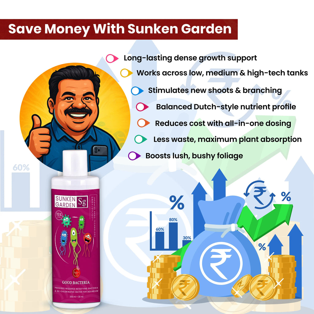 Sunken Garden Good Bacteria – Premium Denitrifying Bacteria for Water Clarity & Bio Stability | Safe for Shrimp & Invertebrates Sunken Garden Pvt Ltd
