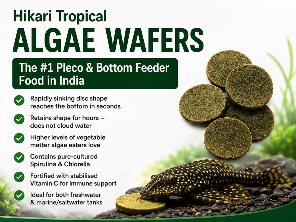Hikari Tropical Algae Wafers for pleco and bottom feeders with a fish on a natural background.