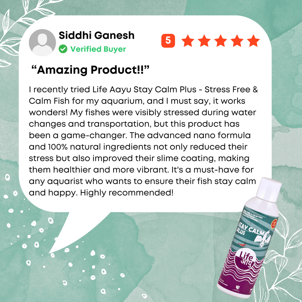 Product review for 'Life Aayu Stay Calm Plus' with a 5-star rating and text on a green background.