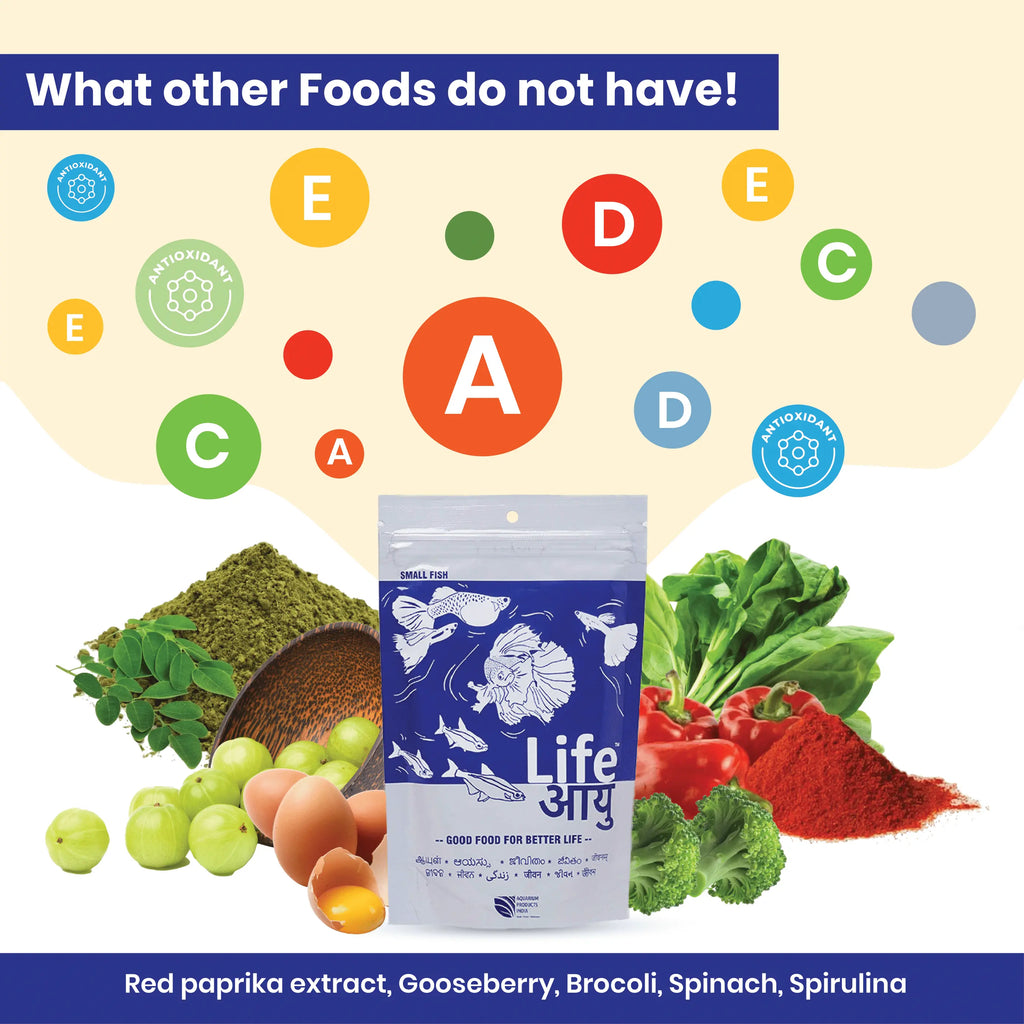 Life AAYU Neutral Fish Food – Ayurvedic Daily Diet for All Fish Sizes Aquarium Products India