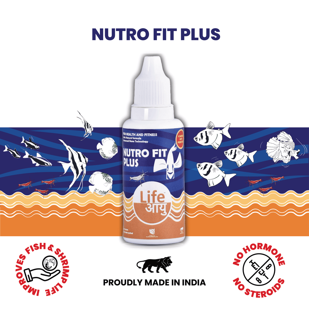 Swim bladder disease cure fish supplement Life AAYU Nutro Fit Plus 20 ml for bloating internal parasites and digestion support