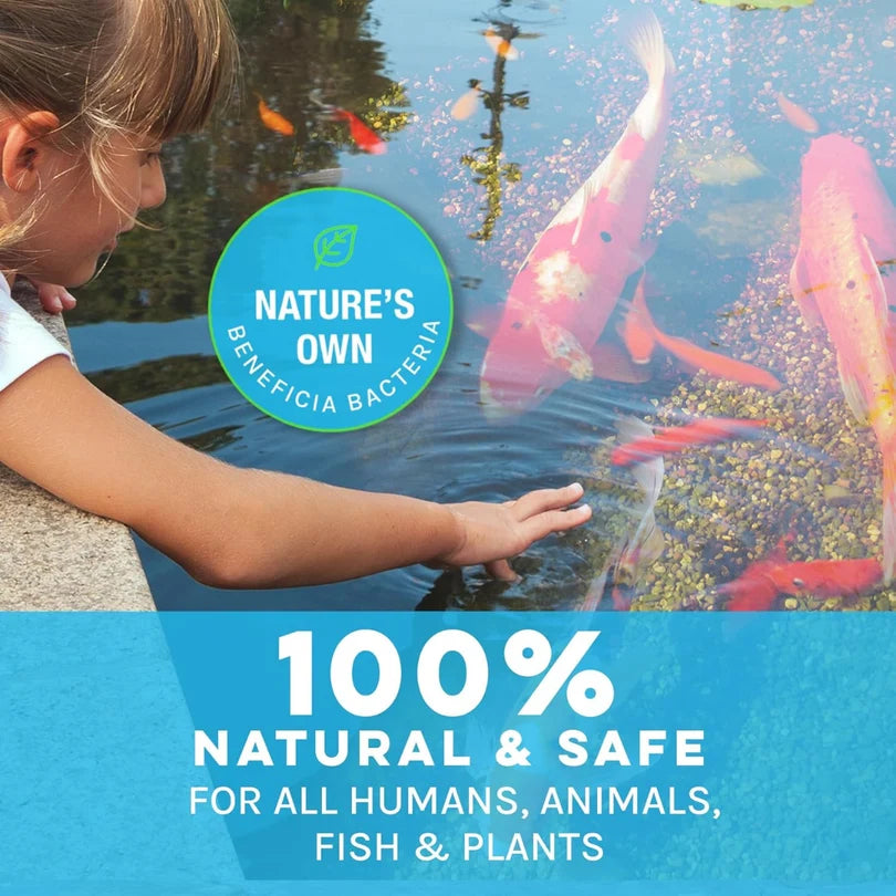 MICROBE-LIFT PL Beneficial Bacteria for Ponds | Reduces Ammonia & Nitrite | Sludge & Dead Algae Breakdown | Odor Control