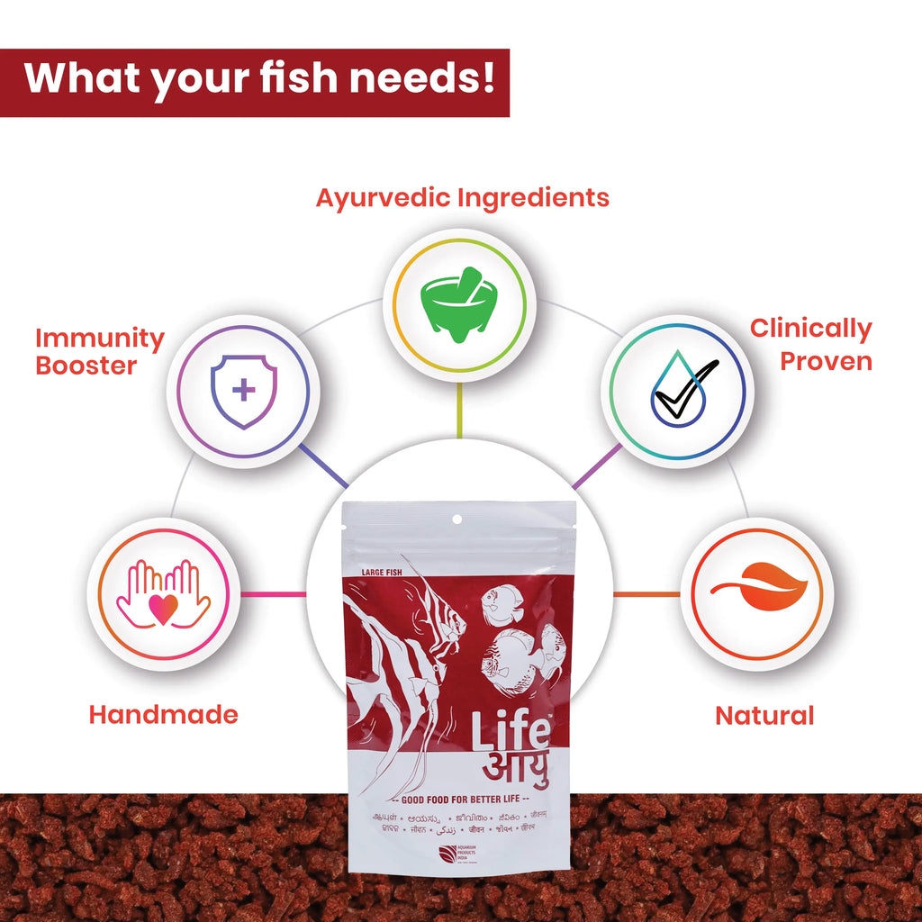 Life AAYU Red Fish Food – Ayurvedic Color Booster Pellets with Anchovy & Paprika | For All Fish Sizes Aquarium Products India