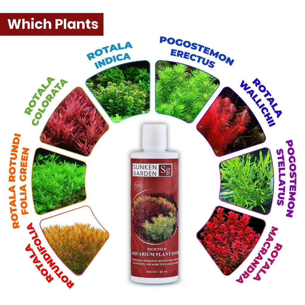 Sunken Garden Vibrance – Dutch Style Aquarium Fertilizer | All-in-One Formula for Bushy Plant Growth | CO₂ & Non-CO₂ Compatible Aquarium Products India