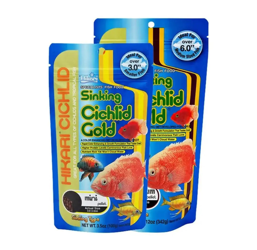 Hikari Sinking Cichlid Gold Mini Fish Food Fish Bazaar