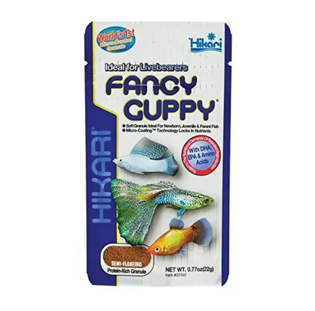 Hikari Fancy Guppy Fish Bazaar