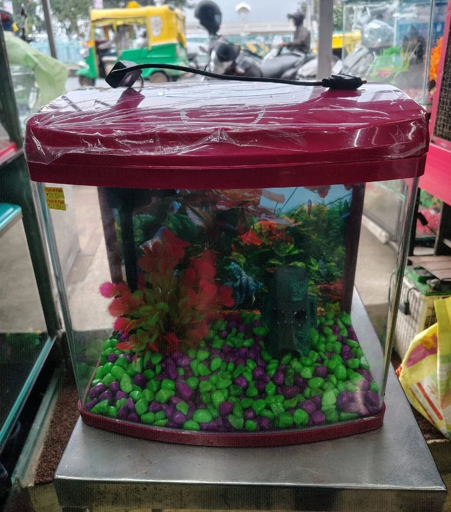 Blue Pet 390A Aquarium Tank | 21L All-in-One Fish Tank with Filter, LED Light & Top Cover