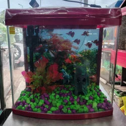 Blue Pet 390A Aquarium Tank | 21L All-in-One Fish Tank with Filter, LED Light & Top Cover
