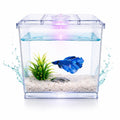 Bluepet BL-B02 Mini Aquarium Tank | 700ml Acrylic Desktop Fish Tank with LED Light (Betta & Shrimp)