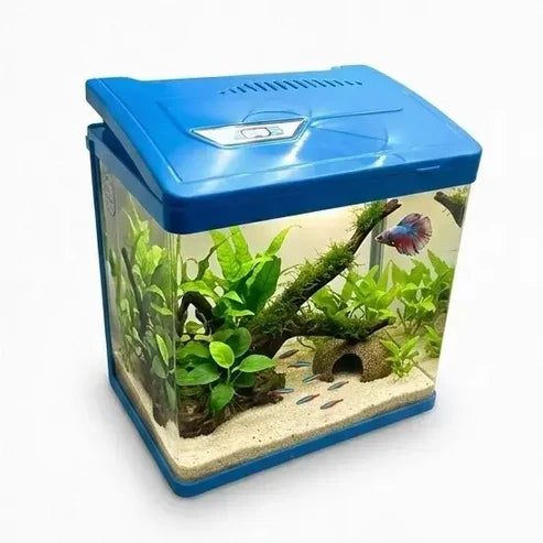 Bluepet BY-240 Glass Aquarium Tank with LED Light & Filter | Small Fish Tank for Betta, Guppy & Shrimp